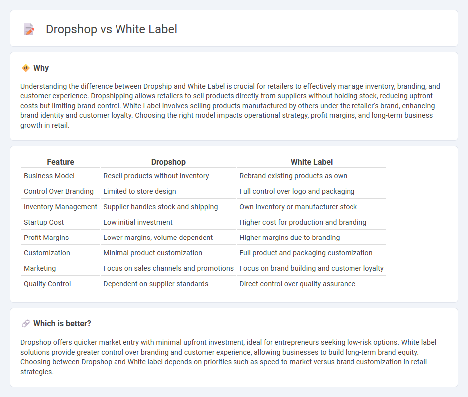 Dropshop vs White Label in Retail