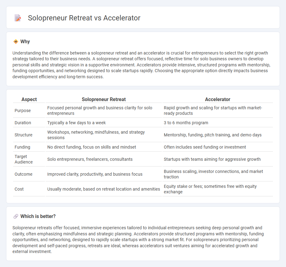 Solopreneur Retreat vs Accelerator in Entrepreneurship