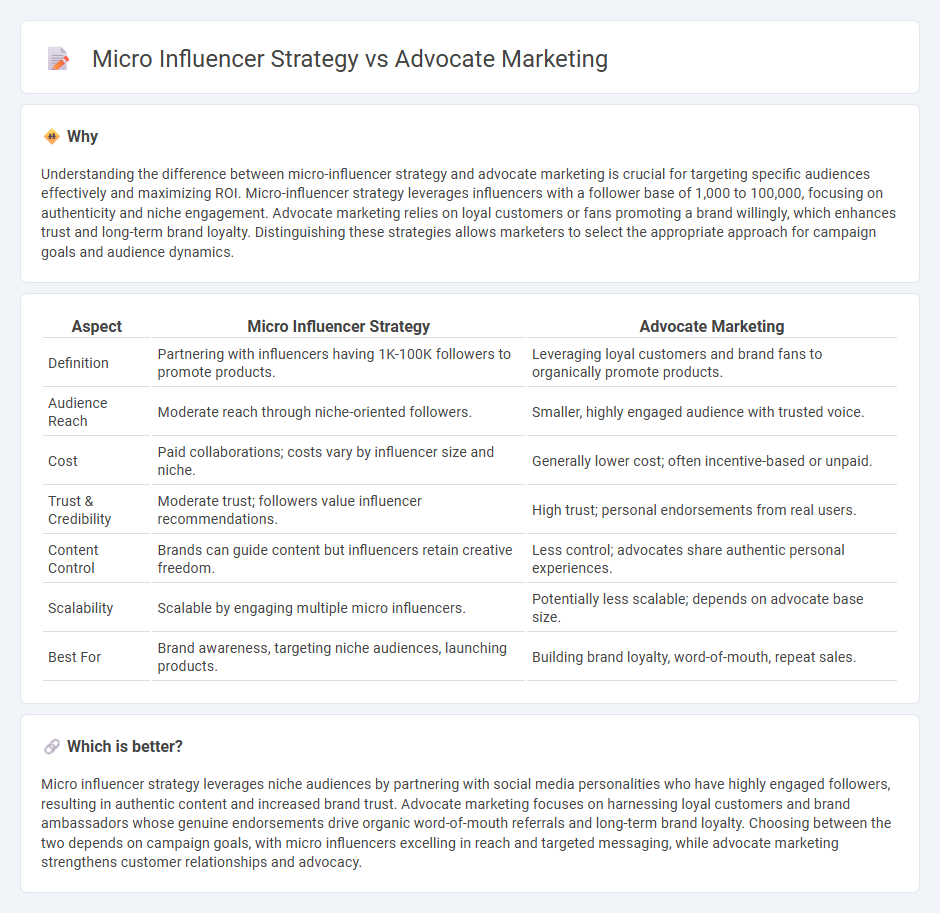 Micro Influencer Strategy vs Advocate Marketing in Marketing