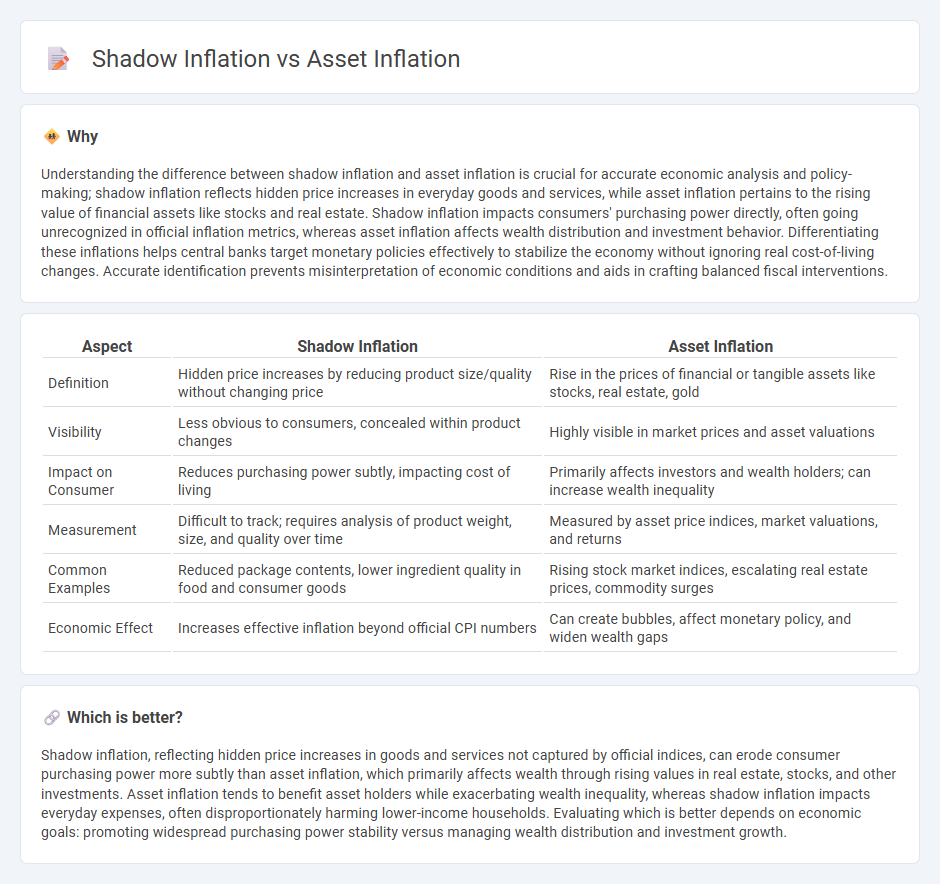Shadow Inflation vs Asset Inflation in Economy