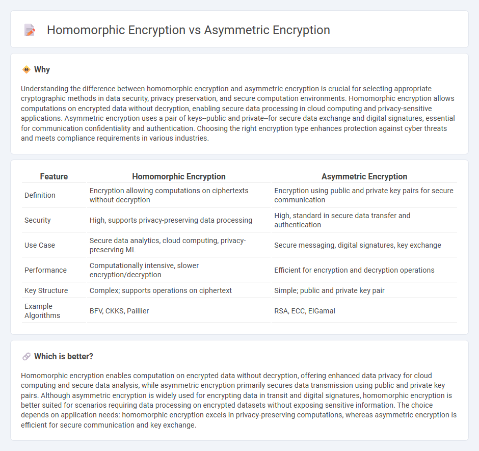 Homomorphic Encryption vs Asymmetric Encryption in Technology