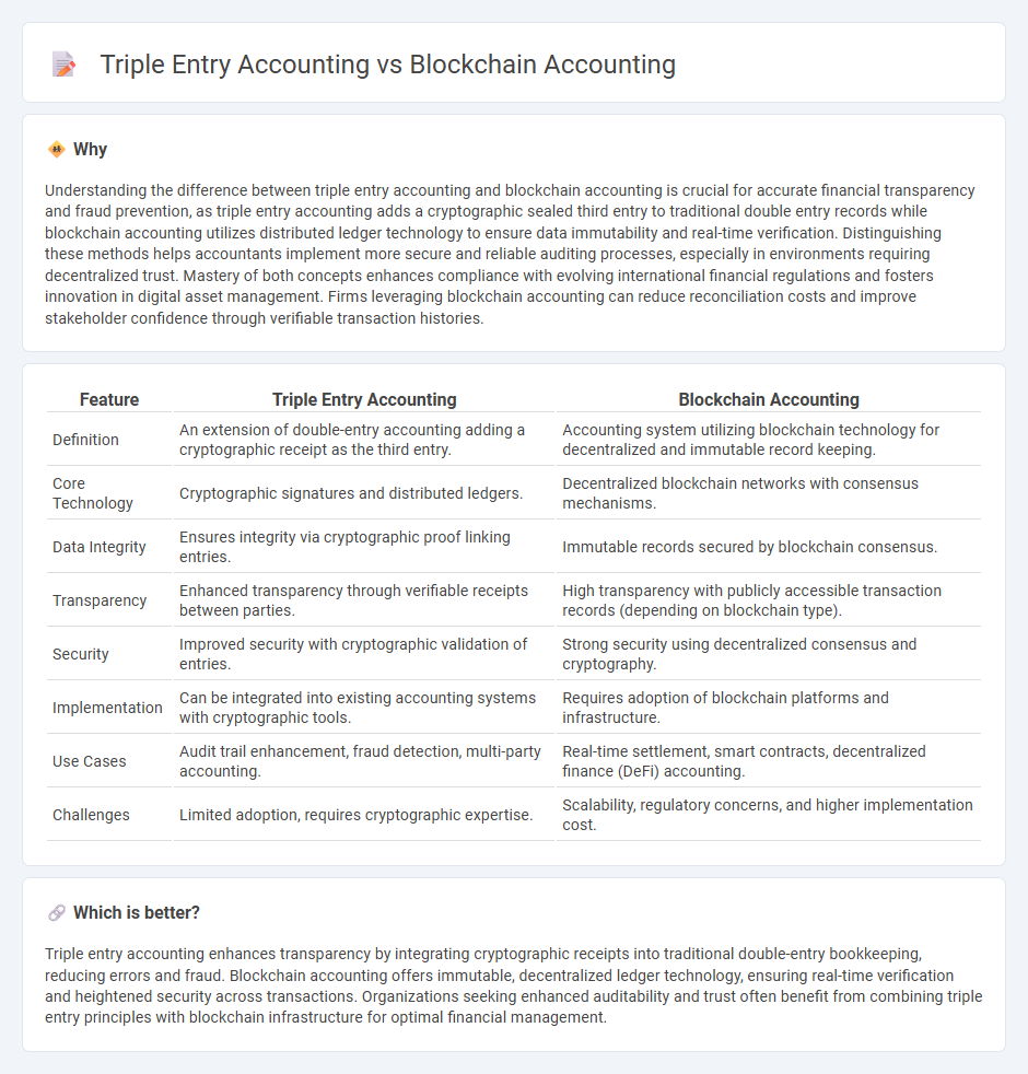 Triple Entry Accounting vs Blockchain Accounting in Accounting
