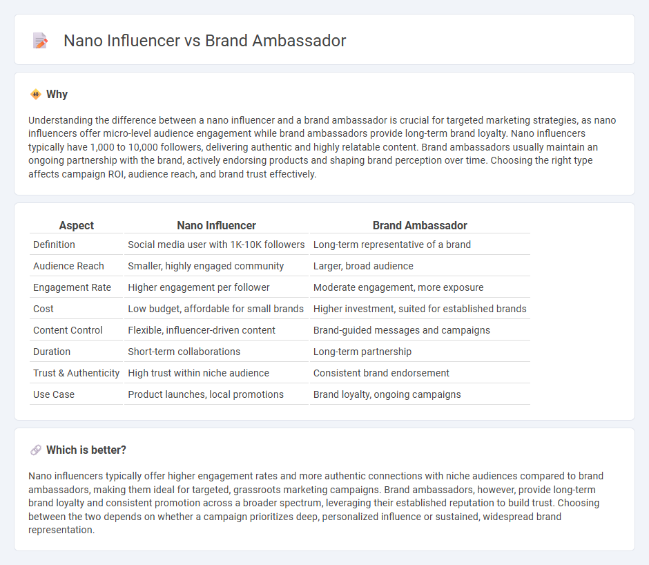 Nano Influencer vs Brand Ambassador in Marketing