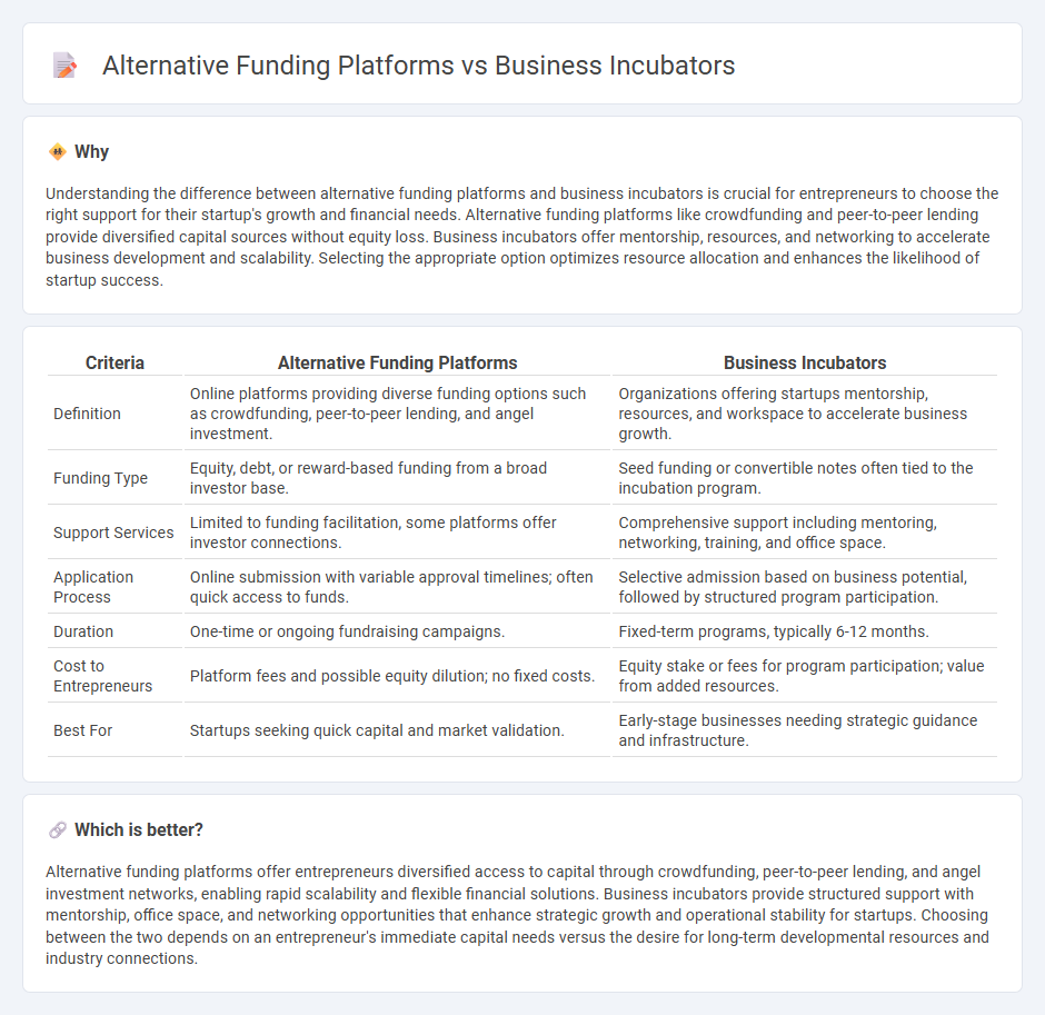 Alternative Funding Platforms vs Business Incubators in Entrepreneurship