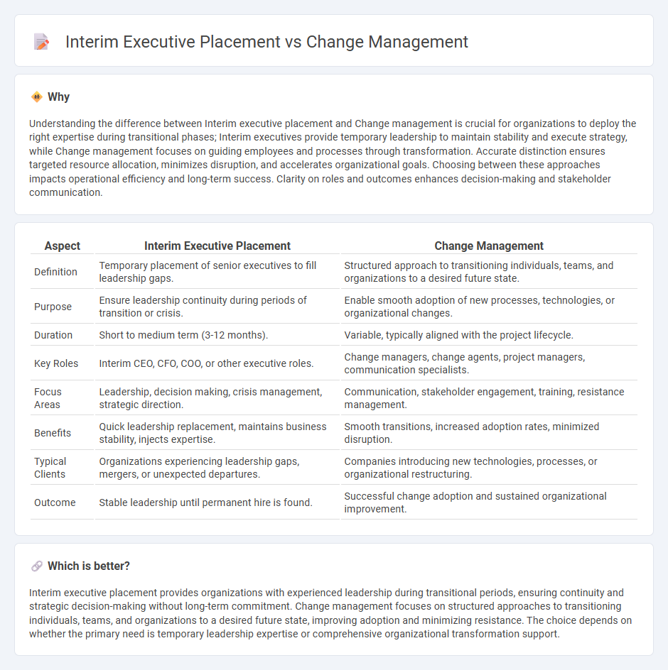 Interim Executive Placement vs Change Management in Consulting