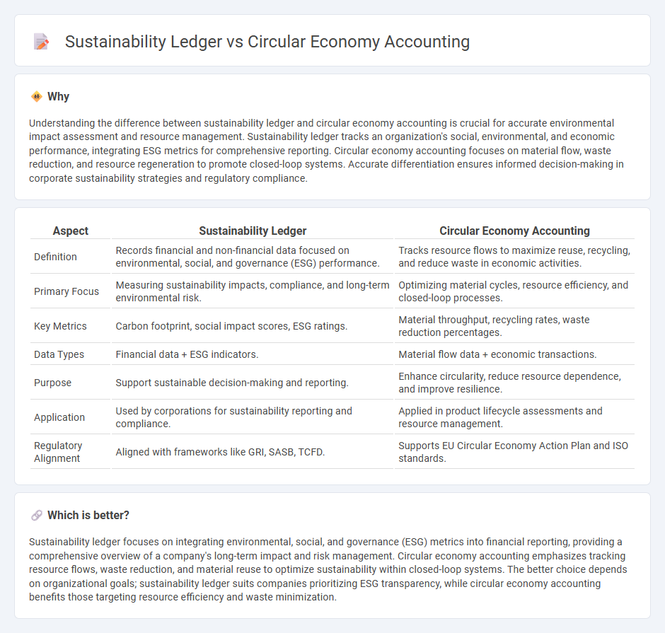 Sustainability Ledger vs Circular Economy Accounting in Accounting