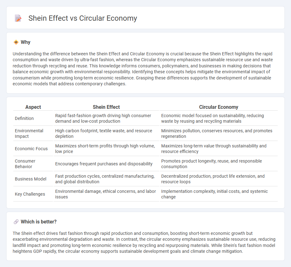 Shein Effect vs Circular Economy in Economy