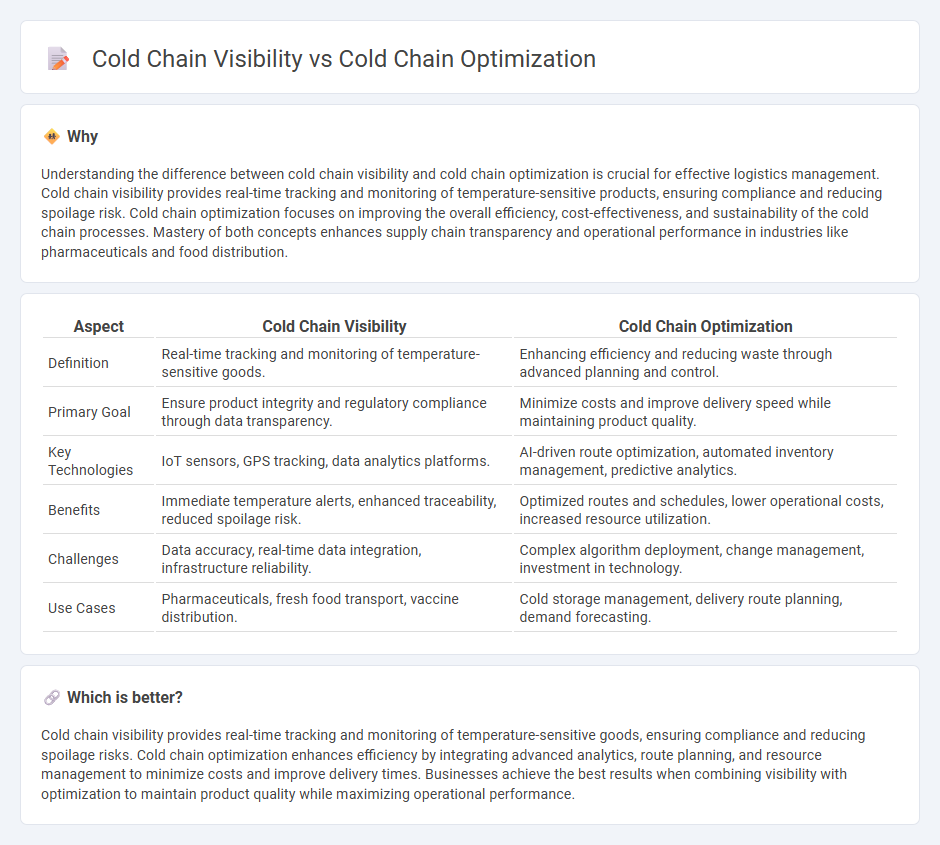 Cold Chain Visibility vs Cold Chain Optimization in Logistics