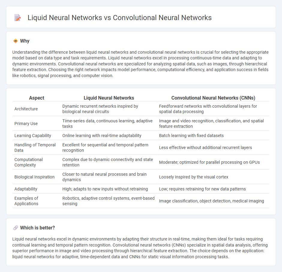 Liquid Neural Networks vs Convolutional Neural Networks in Technology