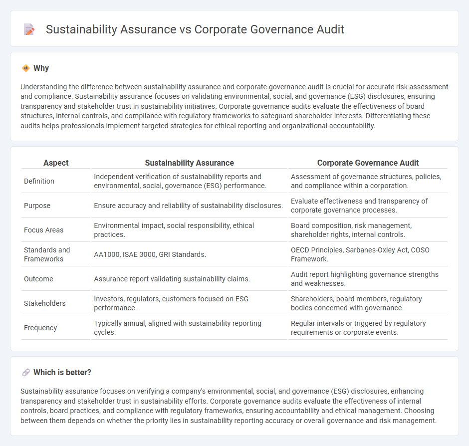 Sustainability Assurance vs Corporate Governance Audit in Accounting
