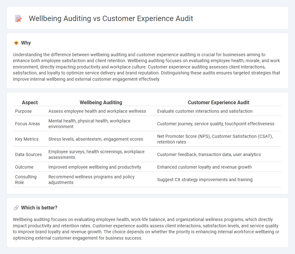 Wellbeing Auditing vs Customer Experience Audit in Consulting