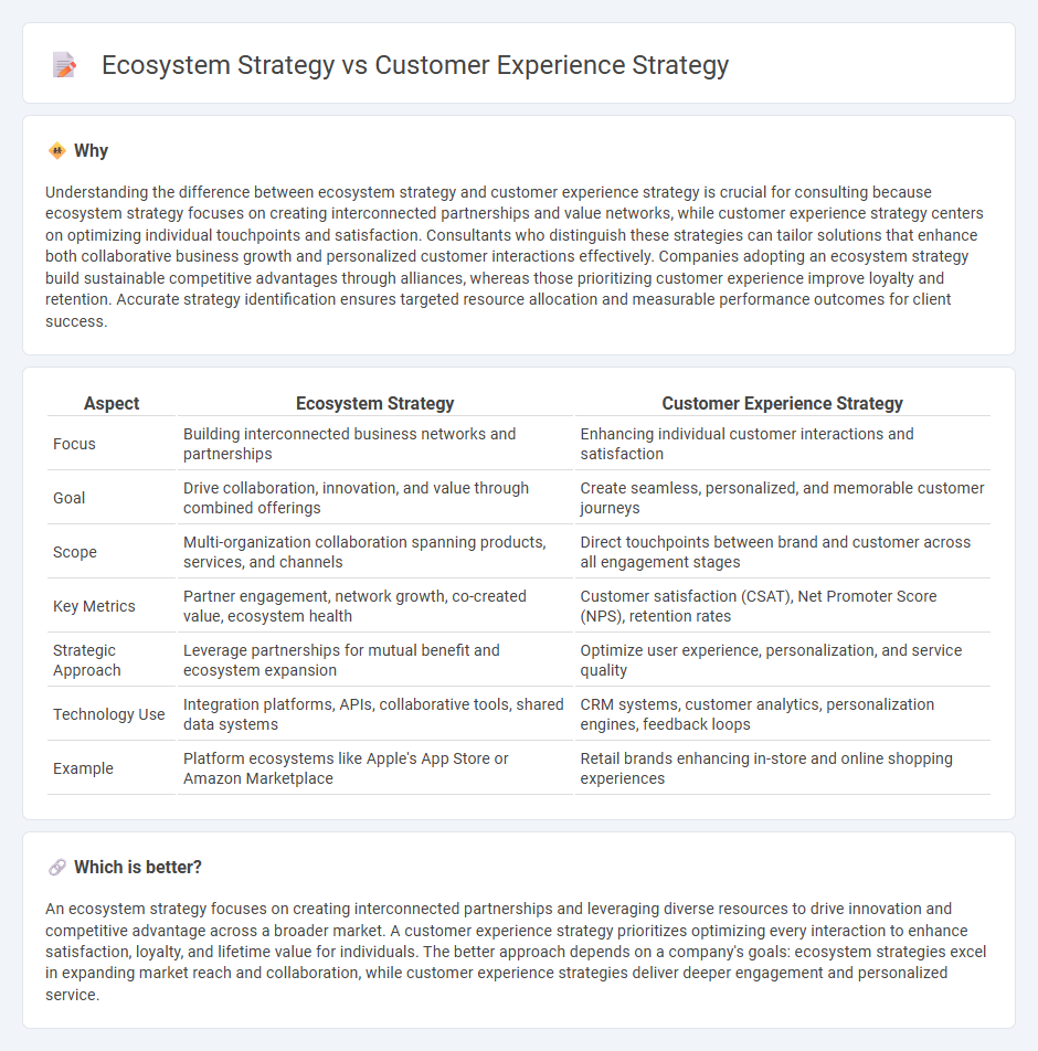 Ecosystem Strategy vs Customer Experience Strategy in Consulting