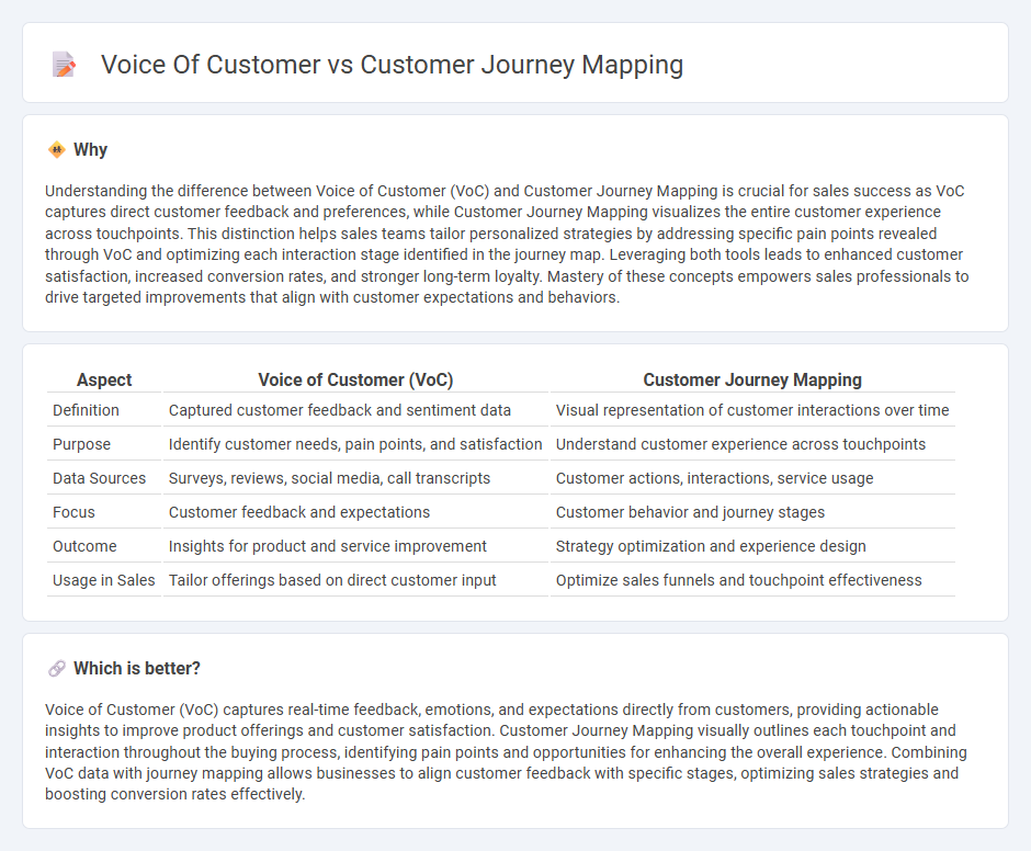 Voice Of Customer vs Customer Journey Mapping in Sales