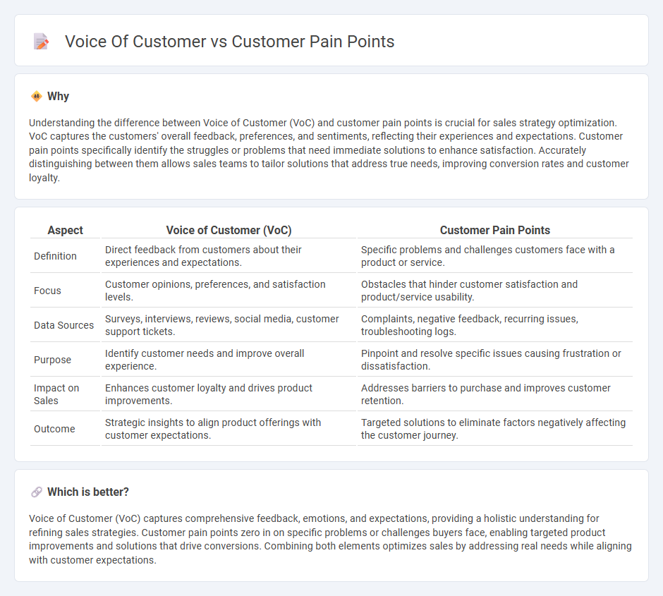 Voice Of Customer vs Customer Pain Points in Sales