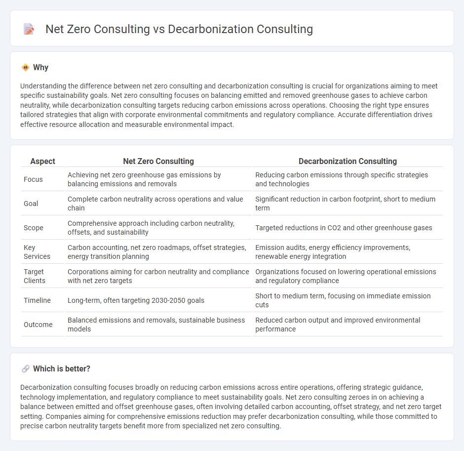 Net Zero Consulting vs Decarbonization Consulting in Consulting