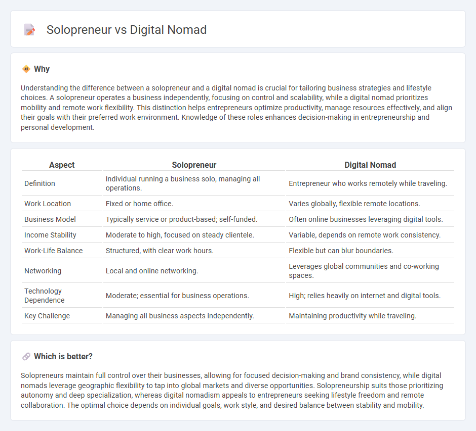 Solopreneur vs Digital Nomad in Entrepreneurship