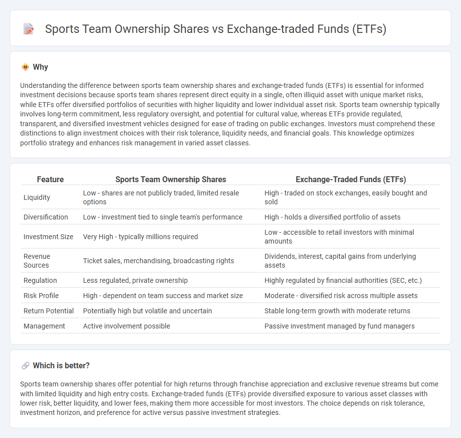 Sports Team Ownership Shares vs Exchange-Traded Funds (Etfs) in Investment