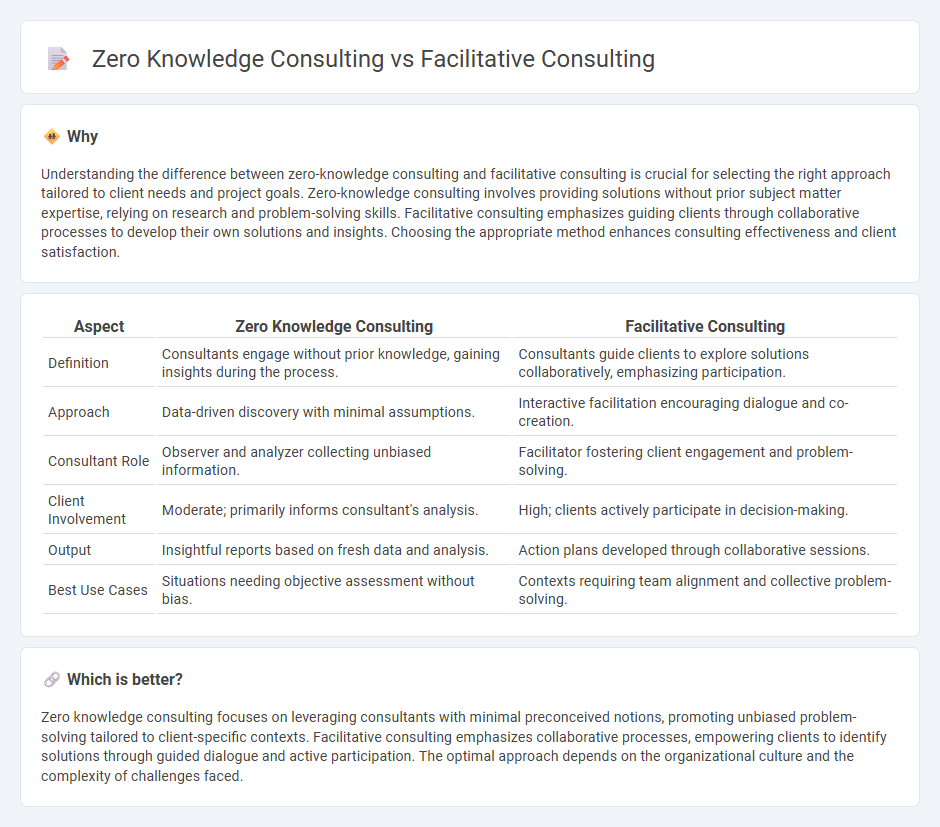 Zero Knowledge Consulting vs Facilitative Consulting in Consulting