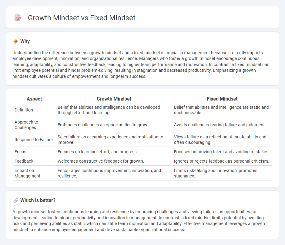Growth Mindset vs Fixed Mindset in Management