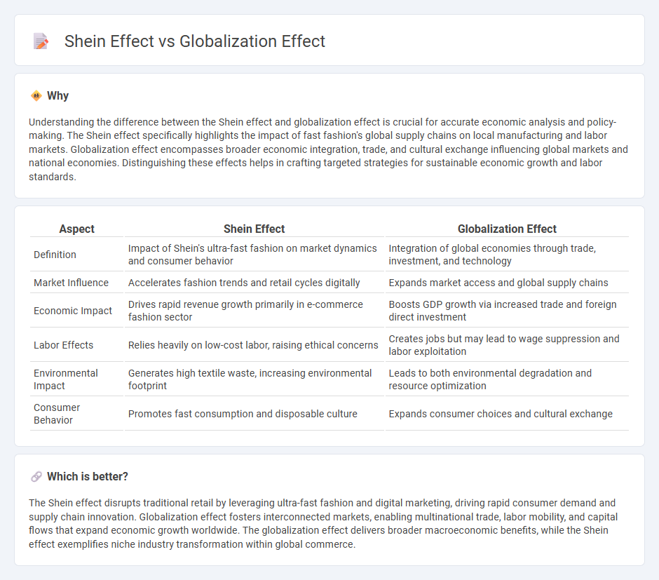 Shein Effect vs Globalization Effect in Economy