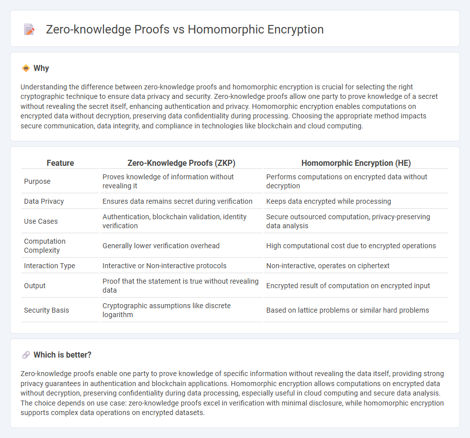 Zero-Knowledge Proofs vs Homomorphic Encryption in Technology