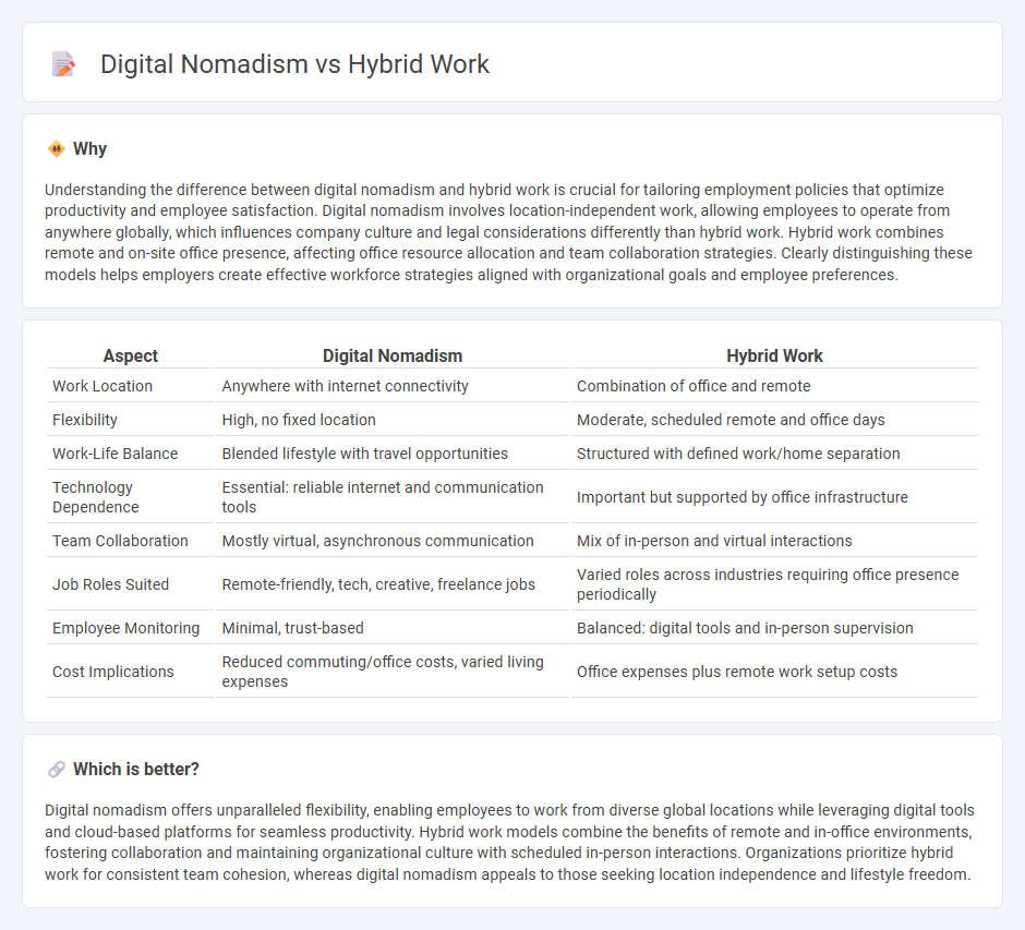 Digital Nomadism vs Hybrid Work in Employment