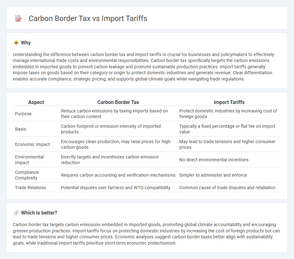 Carbon Border Tax vs Import Tariffs in Economy