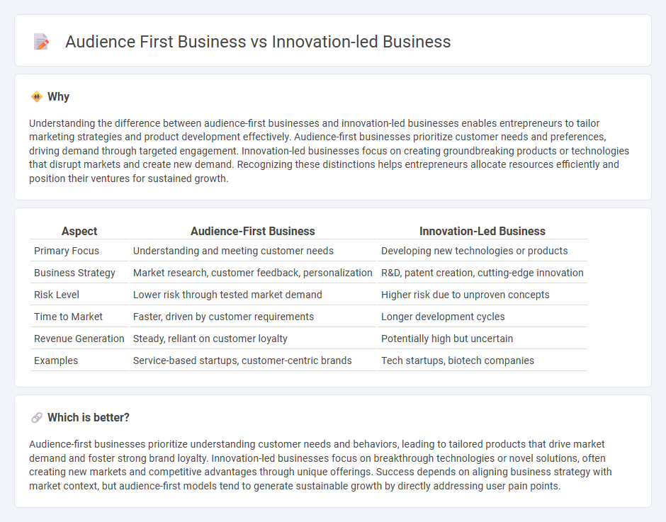 Audience First Business vs Innovation-Led Business in Entrepreneurship