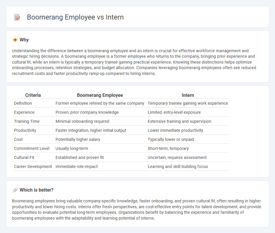 Boomerang Employee vs Intern in Employment