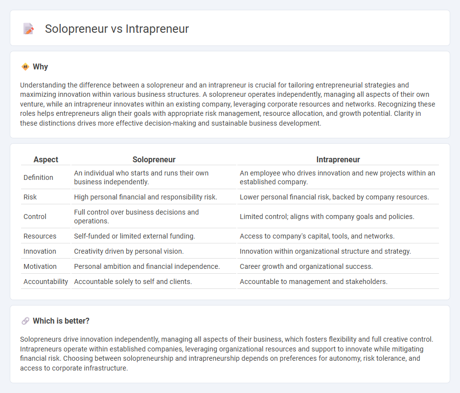 Solopreneur vs Intrapreneur in Entrepreneurship
