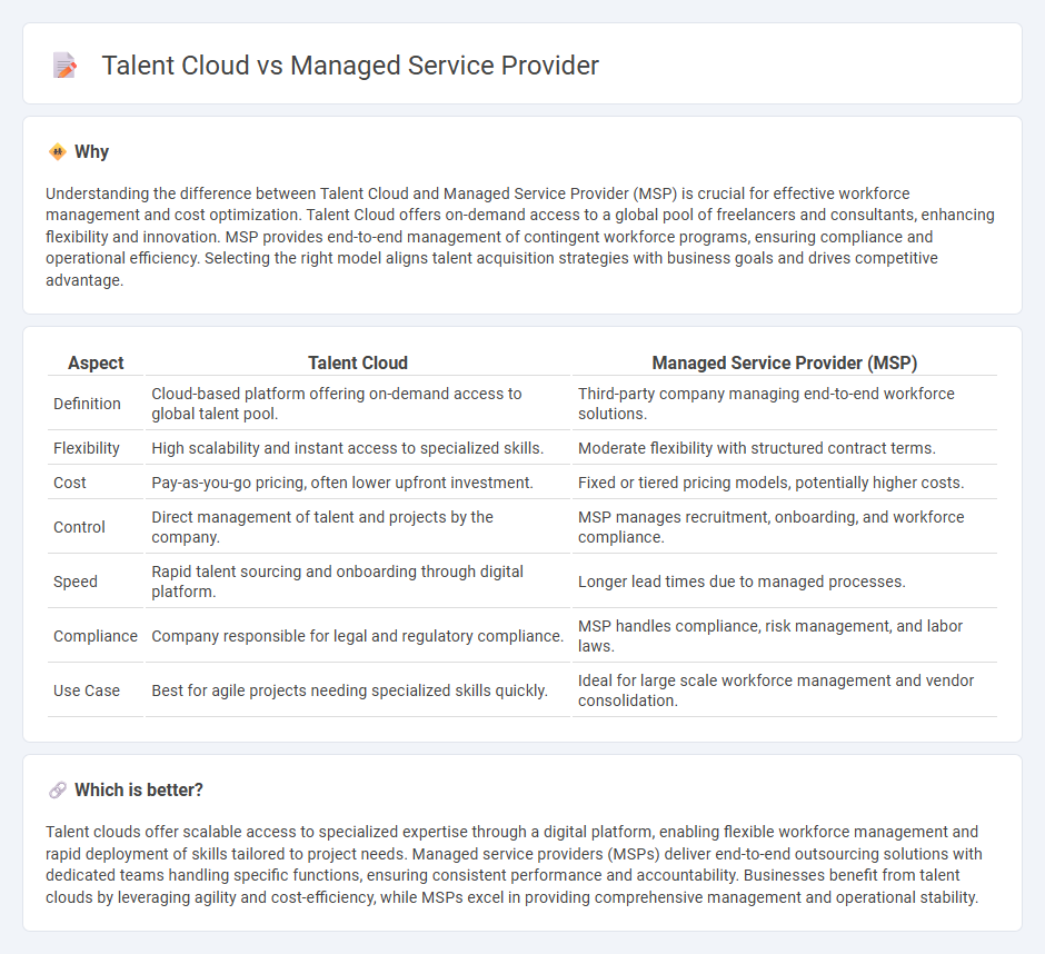 Talent Cloud vs Managed Service Provider in Management