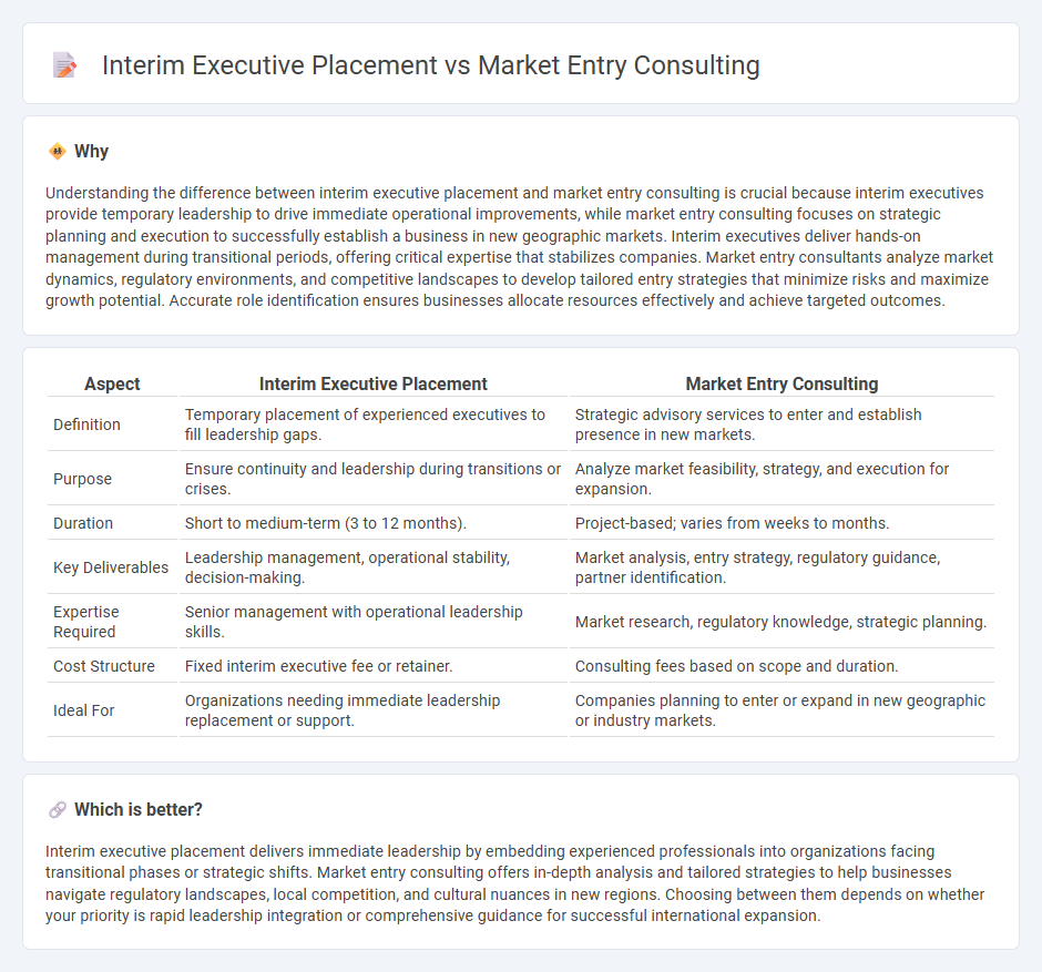 Interim Executive Placement vs Market Entry Consulting in Consulting