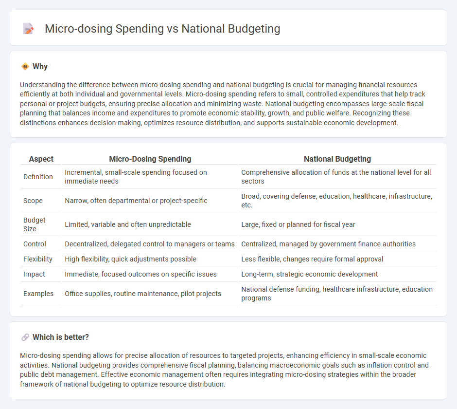 Micro-Dosing Spending vs National Budgeting in Economy