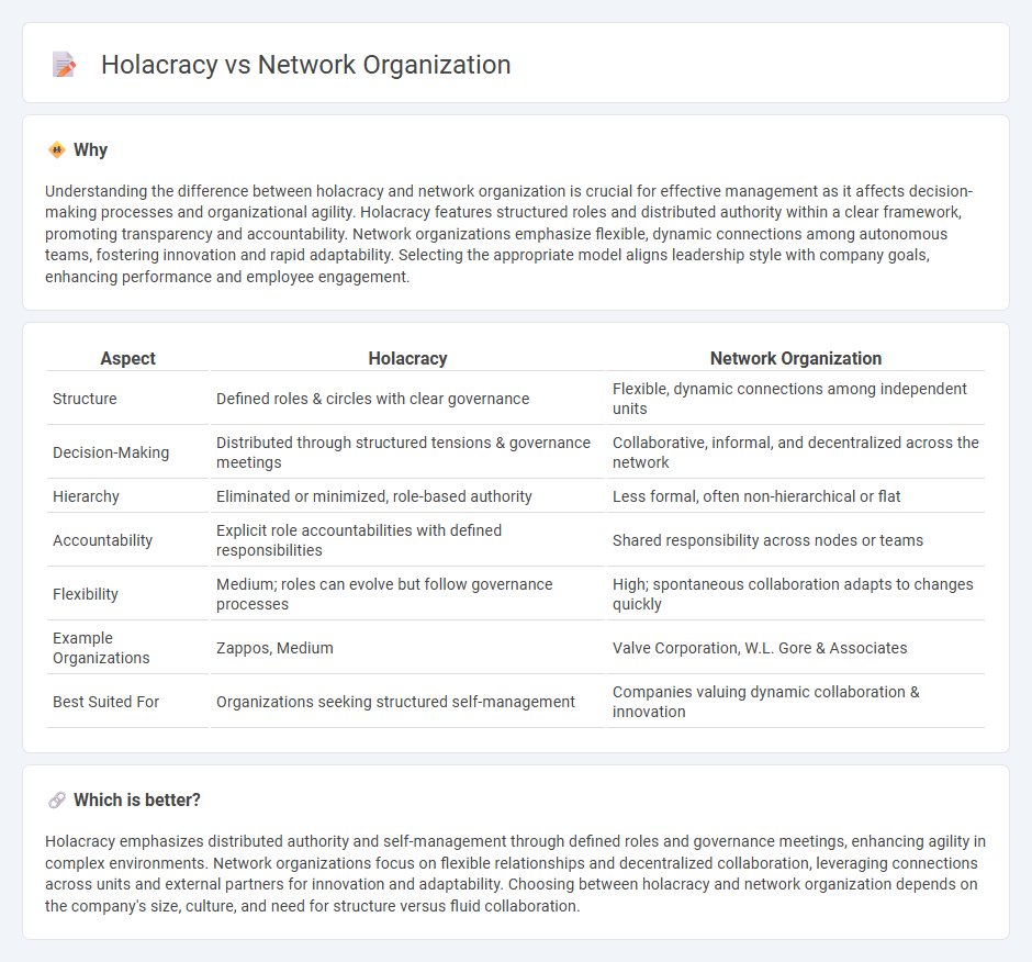 Holacracy vs Network Organization in Management