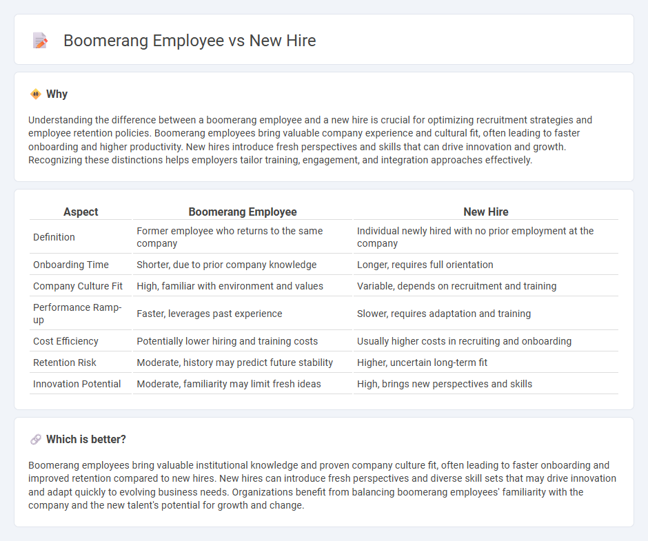 Boomerang Employee vs New Hire in Employment