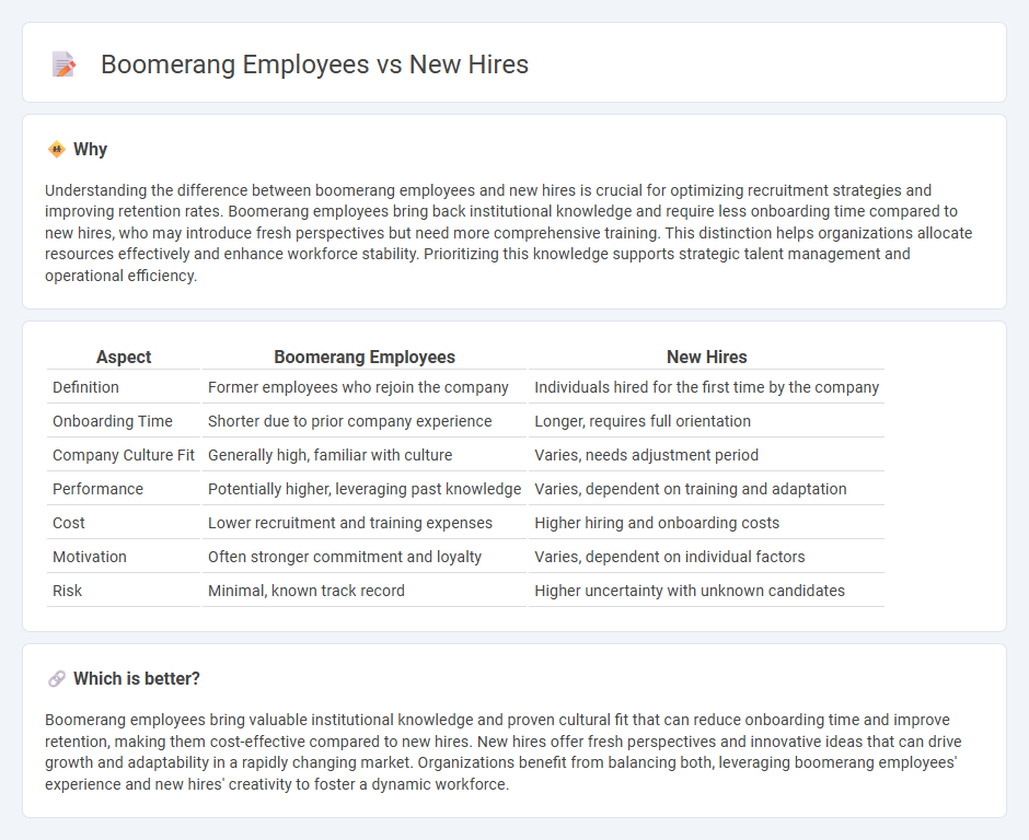 Boomerang Employees vs New Hires in Employment