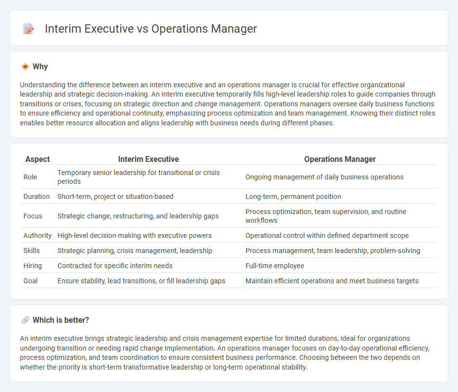 Interim Executive vs Operations Manager in Management