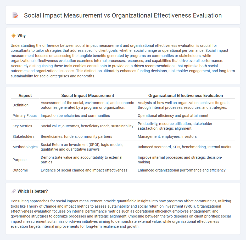 Social Impact Measurement vs Organizational Effectiveness Evaluation in Consulting