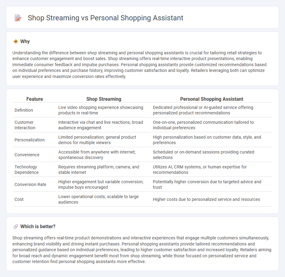 Shop Streaming vs Personal Shopping Assistant in Retail