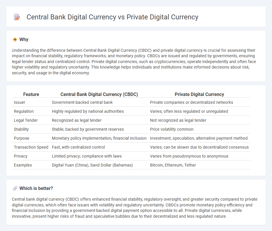 Central Bank Digital Currency vs Private Digital Currency in Banking