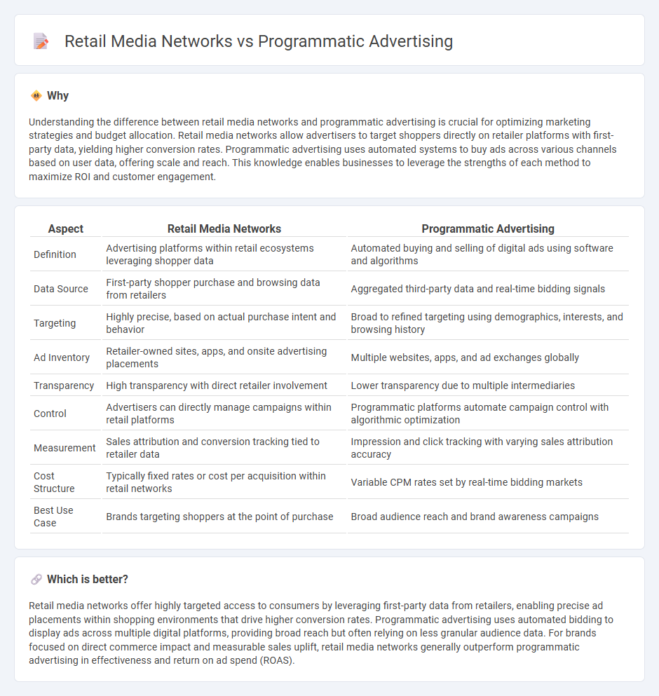 Retail Media Networks vs Programmatic Advertising in Commerce
