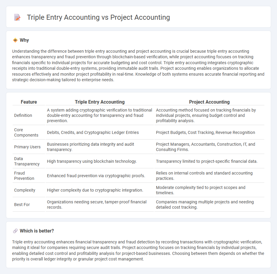 Triple Entry Accounting vs Project Accounting in Accounting