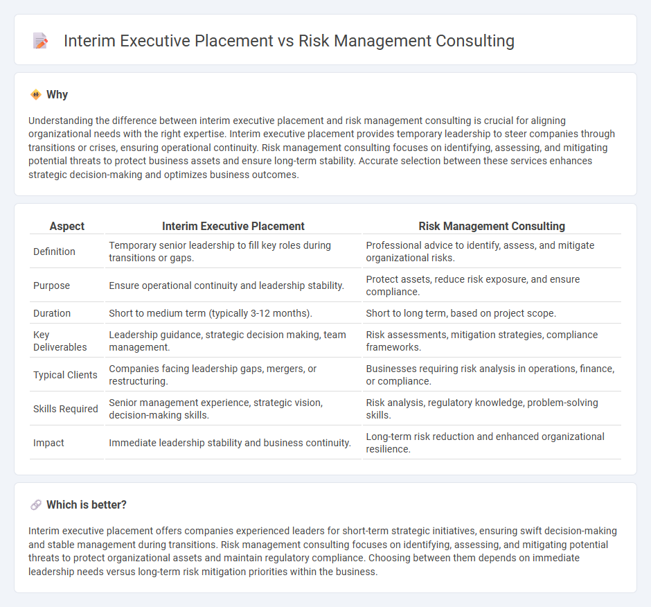 Interim Executive Placement vs Risk Management Consulting in Consulting