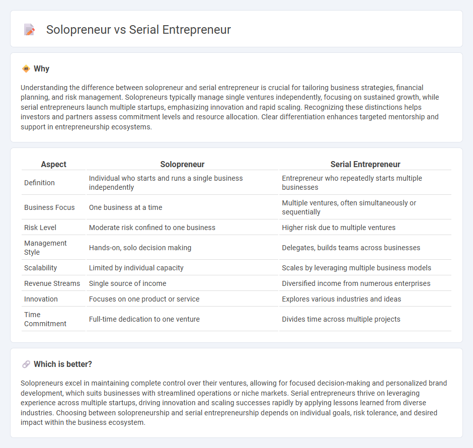 Solopreneur vs Serial Entrepreneur in Entrepreneurship