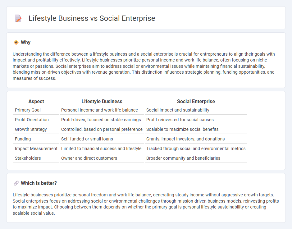 Lifestyle Business vs Social Enterprise in Entrepreneurship