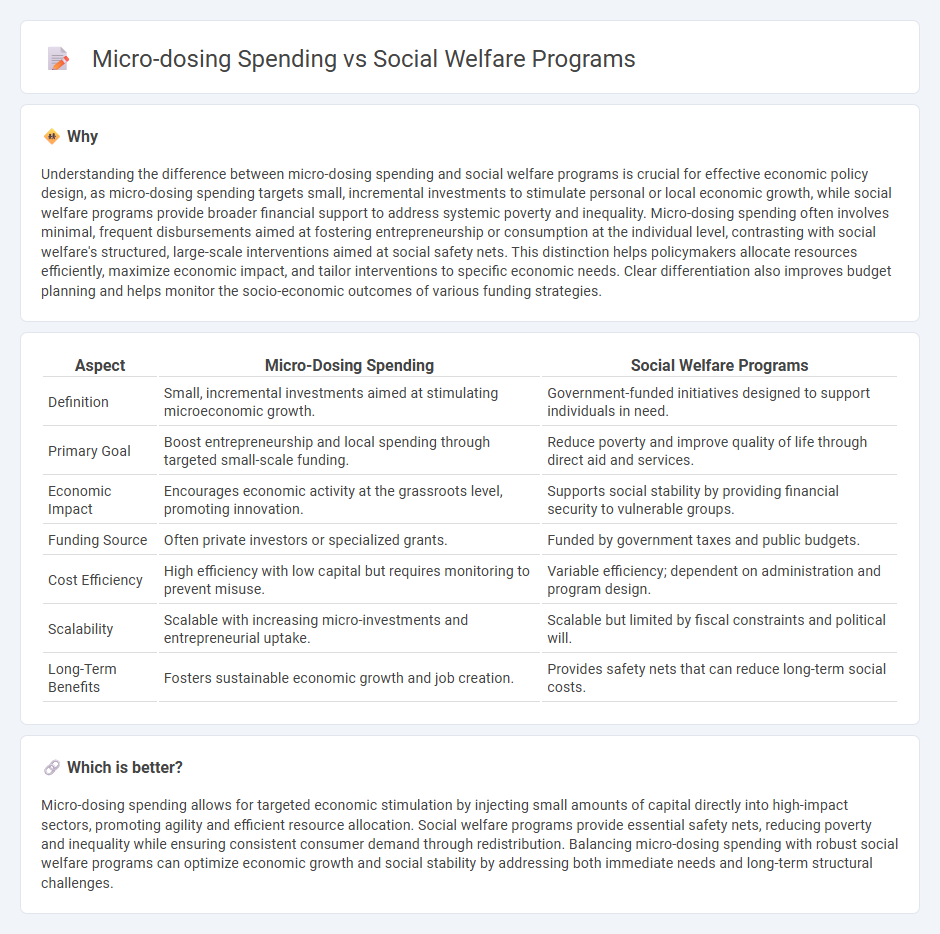 Micro-Dosing Spending vs Social Welfare Programs in Economy
