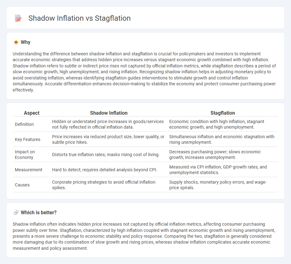 Shadow Inflation vs Stagflation in Economy