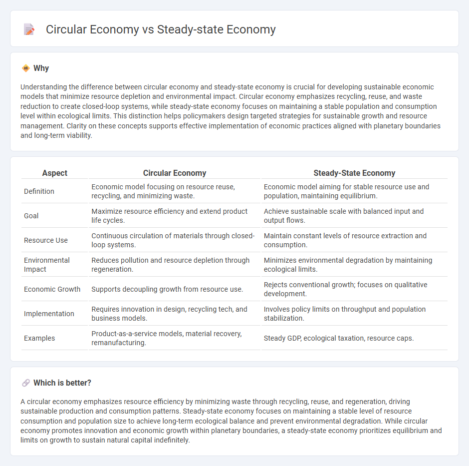 Circular Economy vs Steady-State Economy in Economy