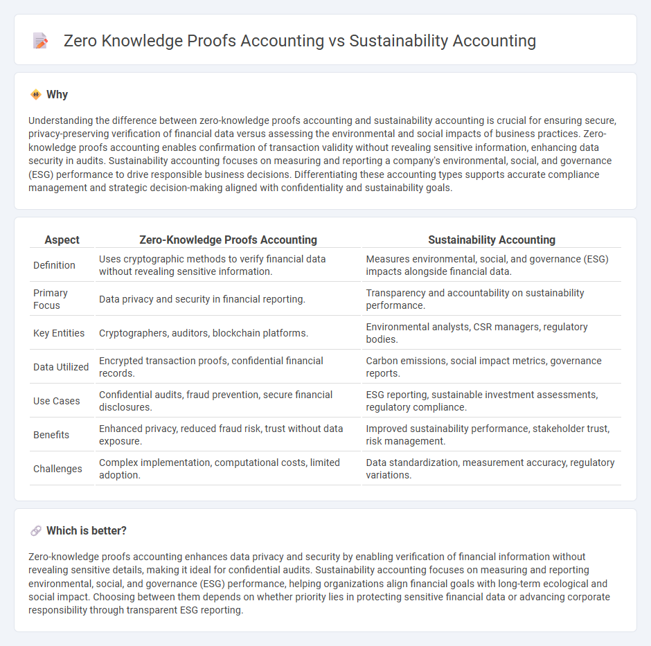 Zero Knowledge Proofs Accounting vs Sustainability Accounting in Accounting