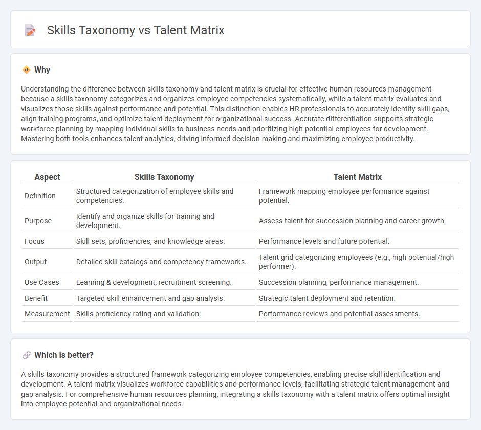 Skills Taxonomy vs Talent Matrix in Human Resources